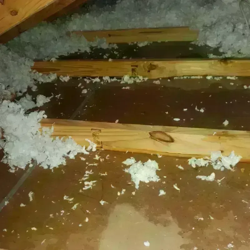 Attic Water Damage in North Bend, NE