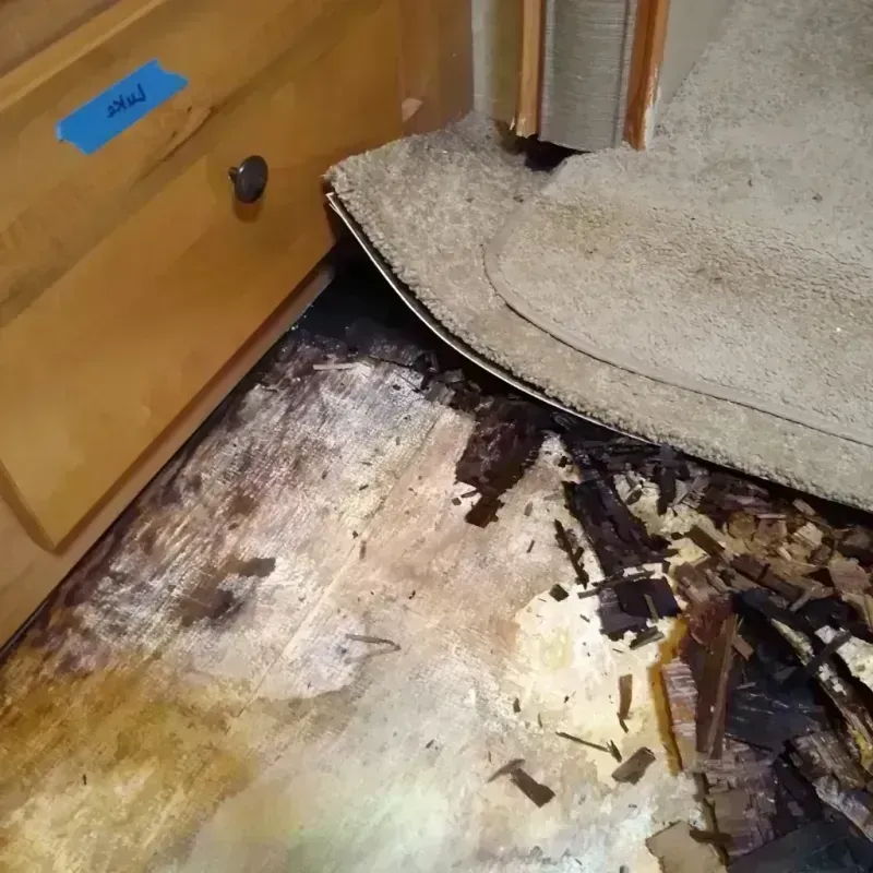 Best Wood Floor Water Damage Service in North Bend, NE